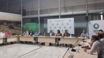 Andaluc&iacute;a prev&eacute; una producci&oacute;n de 2,2 millones toneladas de c&iacute;tricos esta campa&ntilde;a