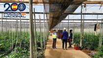 Dos detenidos por tener trabajadores sin contrato en una finca agr&iacute;cola de V&iacute;car