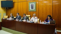 Andaluc&iacute;a pide que sus ayudas al sector agrario por la DANA y las del Gobierno sean compatibles