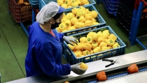 Andaluc&iacute;a exporta 27.057 millones hasta agosto de 2025, con super&aacute;vit en su balanza comercial