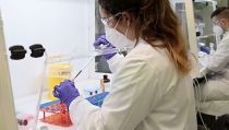 El n&uacute;mero de publicaciones de universidades y centros de investigacion crece un 11%
