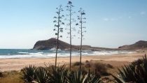 La AECC propone que el Parque Natural Cabo de Gata-N&iacute;jar sea Espacio Sin Humo