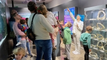 El Aula del Mar de Roquetas ofrece cuentacuentos, conciertos y una exposici&oacute;n