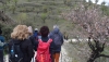 SENDERISMO: Las Rutas del Almendro en Flor Filabres Alhamilla - Nacimiento 2026 brillan con la magia de Lucainena de las Torres y Abrucena