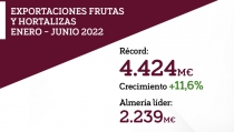 Almer&iacute;a acapara el 51% de las ventas andaluzas y casi una cuarta parte de las del pa&iacute;s