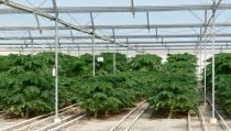 Las exportaciones agroalimentarias andaluzas crecieron un 4,5% en el primer cuatrimestre de 2021