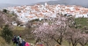 Alcudia de Monteagud, piedra, agua e historia ecol&oacute;gica