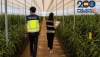 Descubren el fraude a la Seguridad Social de una trama de empresas agr&iacute;colas