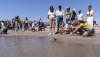 Sueltan 27 ejemplares de tortuga boba en la costa de Moj&aacute;car