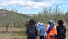 SENDERISMO: Sorbas y Uleila del Campo fascinan en las Rutas del Almendro en Flor Filabres Alhamilla-Nacimiento 2026