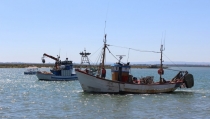 Andaluc&iacute;a pone en marcha medidas para fomentar el relevo generacional en el sector pesquero y acu&iacute;cola