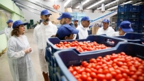 Andaluc&iacute;a prepara la nueva Ley de Producci&oacute;n Ecol&oacute;gica para impulsar su liderazgo en el sector