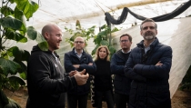 Andaluc&iacute;a destina 37,6 millones de euros a compensar los da&ntilde;os de la DANA en el campo