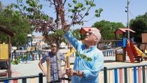 Hu&eacute;rcal de Almer&iacute;a ha plantado m&aacute;s de 700 &aacute;rboles en los &uacute;ltimos tres a&ntilde;os