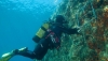 La Junta refuerza la protecci&oacute;n de la biodiversidad en el Cabo de Gata-N&iacute;jar