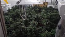 Detienen a los responsables de un cultivo 'indoor' de marihuana en Tabernas