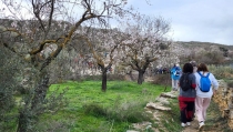SENDERISMO: Benizal&oacute;n y Tahal, pr&oacute;ximas citas con las Rutas del Almendro en Flor Filabres Alhamilla - Nacimiento 2026