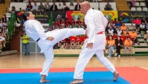 Andaluc&iacute;a convoca ayudas al deporte no ol&iacute;mpico para deportistas y entrenadores de alto rendimiento