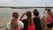 Estudiantes visitan Punta Entinas-Sabinar por el D&iacute;a de las Aves Migratorias