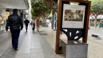 La asociaci&oacute;n Almer&iacute;a Centro conf&iacute;a en que la peatonalizaci&oacute;n sirva para revitalizar el Paseo