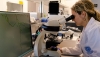 La UAL obtiene biomasa de microalgas a partir de aguas residuales