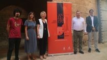 Conciertos, teatro, ballet y cine, este verano en la Alcazaba de Almer&iacute;a