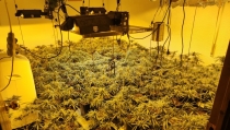 Detienen en Canj&aacute;yar a los responsables de un cultivo 'indoor' de marihuana