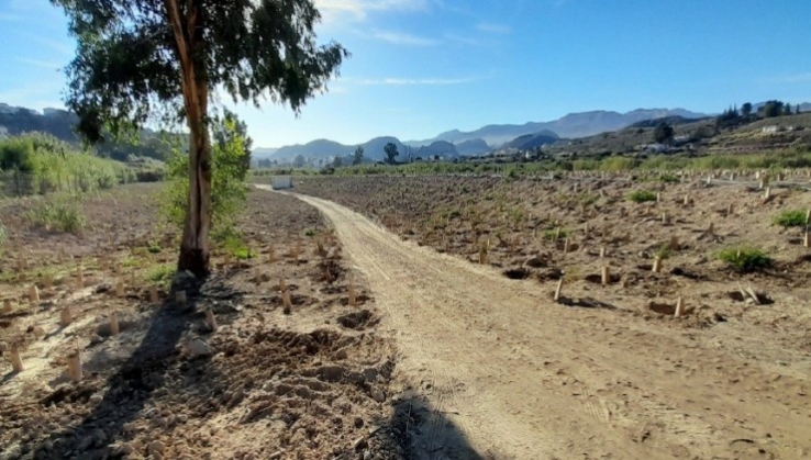Andaluc&iacute;a destina m&aacute;s de 11 millones a sellar y restaurar vertederos en Almer&iacute;a