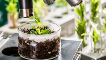 Andaluc&iacute;a encarga la redacci&oacute;n del proyecto del Smart Green Cube en el PITA