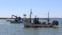 Andaluc&iacute;a concede casi 2,2 millones por la paralizaci&oacute;n temporal de la flota pesquera y marisquera