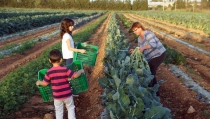 COAG propone mejorar la formaci&oacute;n sobre el sector agrario en colegios e institutos