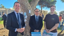 Almer&iacute;a 'planta' el &Aacute;rbol de la Democracia por los 50 a&ntilde;os de Espa&ntilde;a en Libertad