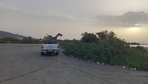 Cuevas del Almanzora refuerza la lucha contra las plagas de mosquitos