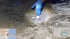Trasladados los 91 huevos de tortuga boba que se anidaron en Moj&aacute;car