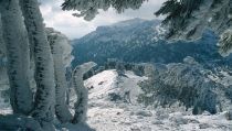 El Consejo de Participaci&oacute;n de Sierra Nevada respalda el plan de inversi&oacute;n de la Junta