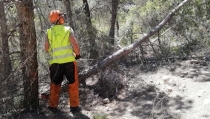 M&aacute;s de medio mill&oacute;n de euros de inversi&oacute;n en el Parque Sierra Mar&iacute;a-Los V&eacute;lez