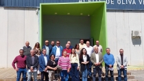 La almazara Campos de Uleila prepara un proyecto para dar a conocer la riqueza oleica de la zona