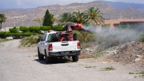 Roquetas de Mar intensifica la lucha contra los mosquitos y sus larvas