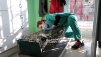 Comienza a aplicarse el m&eacute;todo CER en la colonia felina del cementerio