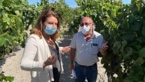Agricultura destaca el estudio del uso del alga asiática para reducir el uso de fitosanitarios
