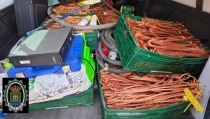 Detienen a un grupo criminal dedicado al robo de productos fitosanitarios