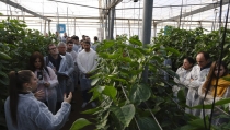 La Estaci&oacute;n Experimental Cajamar muestra el potencial de las tecnolog&iacute;as digitales en horticultura