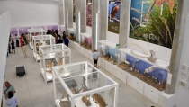 El Pabell&oacute;n de Historia Natural impulsa la concienciaci&oacute;n sobre medio ambiente