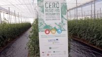 A la b&uacute;squeda de una soluci&oacute;n a la gesti&oacute;n de residuos inorg&aacute;nicos del sector agr&iacute;cola