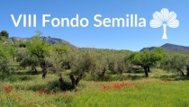 AlVelAl lanza el VIII Fondo Semilla para impulsar la agricultura regenerativa