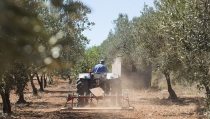 M&aacute;s de 300 millones de euros en ayudas para fomentar el relevo generacional agrario
