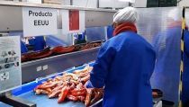 Las exportaciones agroalimentarias andaluzas superan los 10.324 millones a pesar de la pandemia