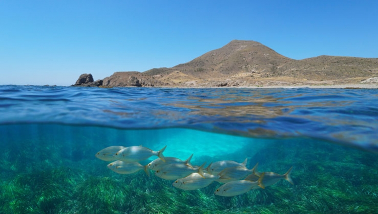 Almer&iacute;a acoger&aacute; el congreso internacional Sun&amp;Blue sobre turismo y econom&iacute;a azul