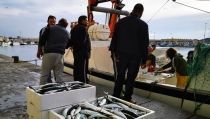 El desembarco de pescado en la lonja del Puerto de Almer&iacute;a cay&oacute; un 5,9% en 2020