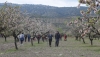 SENDERISMO: Fi&ntilde;ana y Tabernas cierran con &eacute;xito las Rutas del Almendro en Flor Filabres Alhamilla-Nacimiento 2026